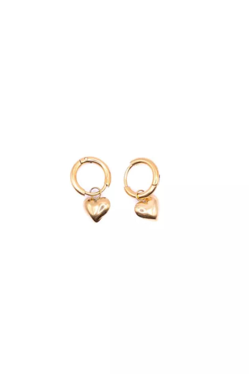 Go Dutch Earrings E1799-2