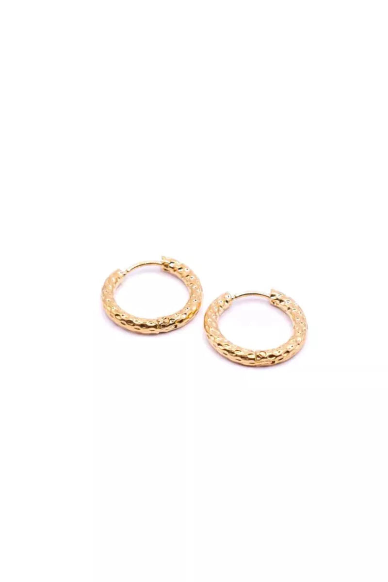 Go Dutch Earrings E2212-2