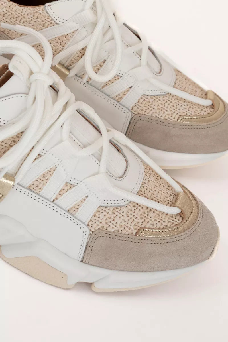 Dwrs Los Angeles Raffia Sand Champagne Sneakers