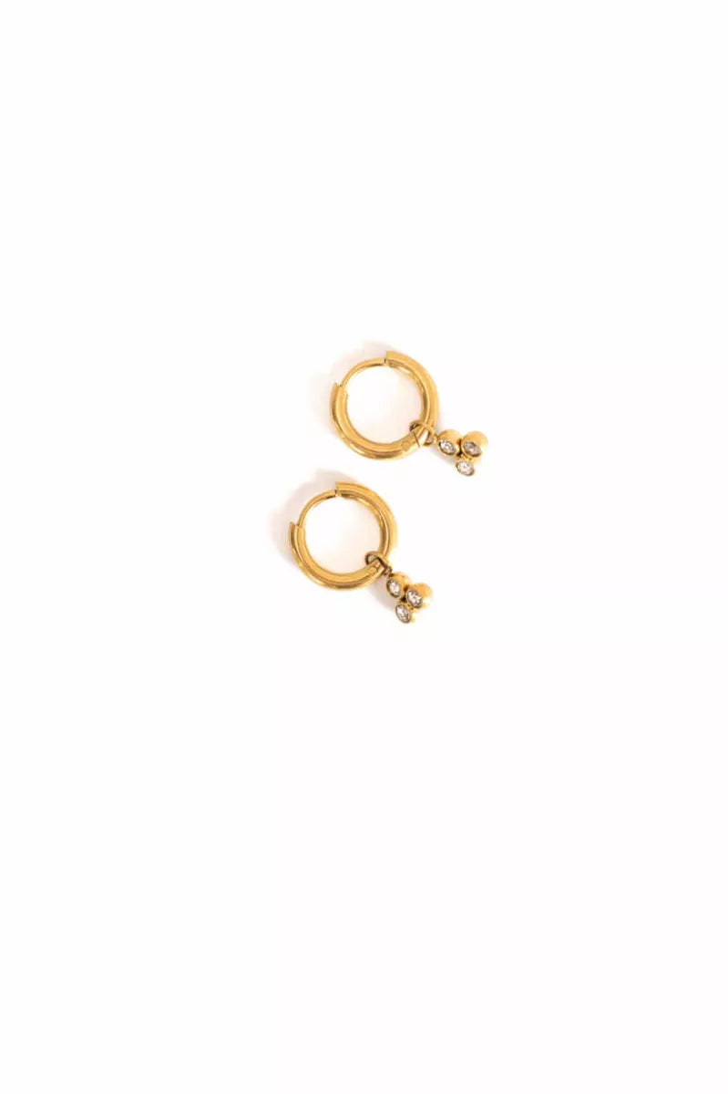  Day & Eve Earrings E56101-1