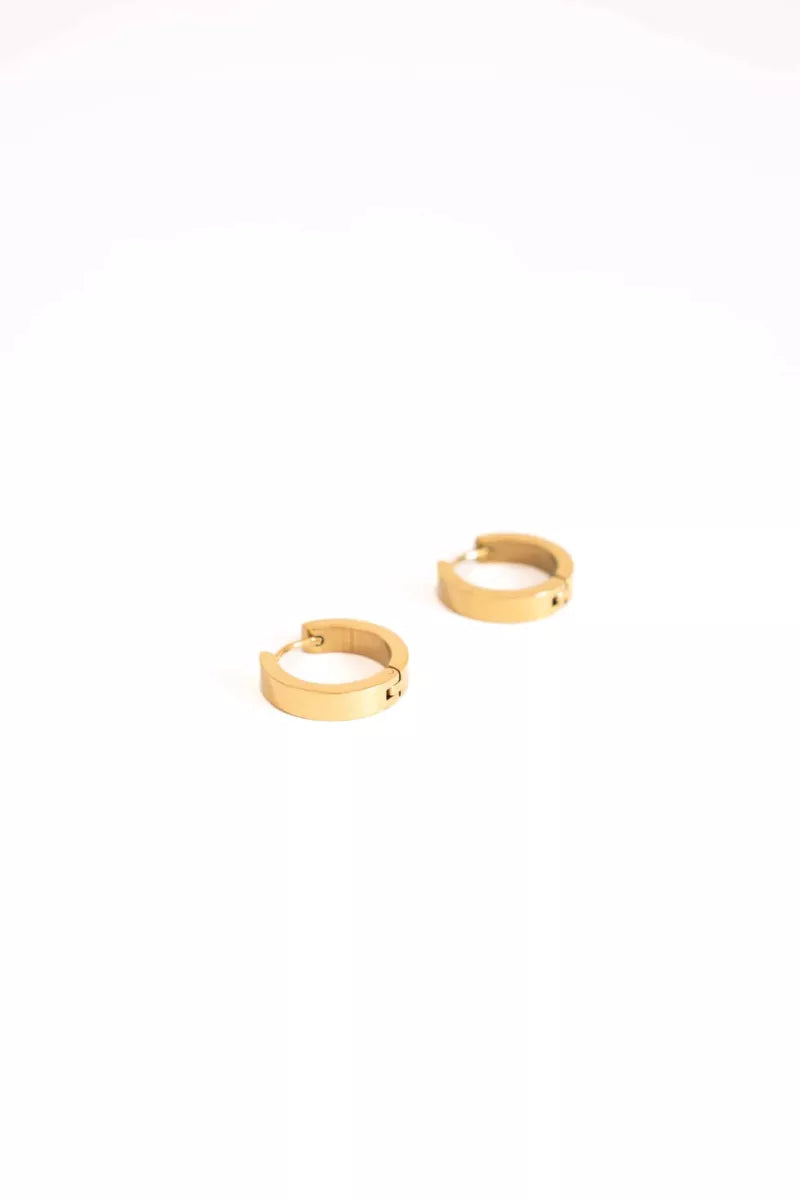  Day & Eve Earrings E5450-2