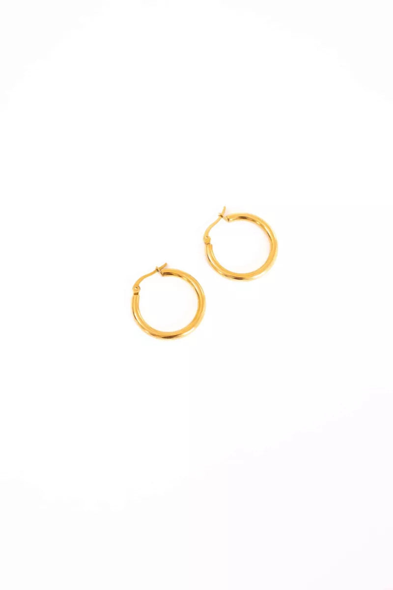  Day & Eve Earrings E5450-2