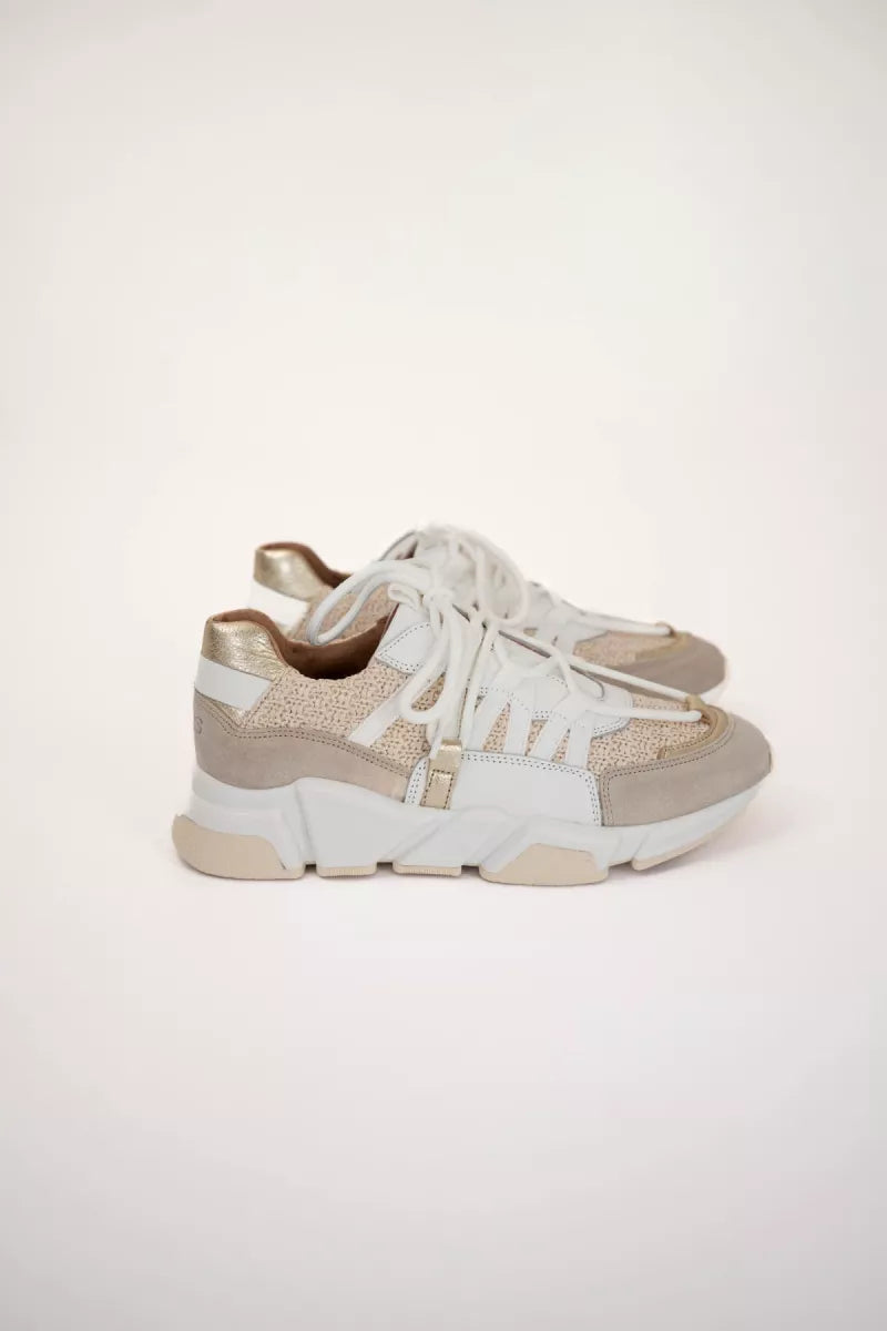  Dwrs Los Angeles Raffia Sand Champagne Sneakers