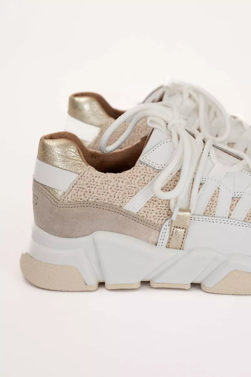 Dwrs Los Angeles Raffia Sand Champagne Sneakers