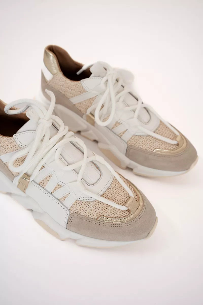  Dwrs Los Angeles Raffia Sand Champagne Sneakers