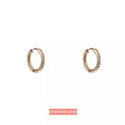  Go Dutch Earrings E4477-2