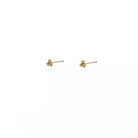  Day & Eve Earrings E9894-2